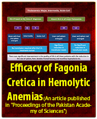 Efficacy of Fagonia Cretica in Hemolytic Anemias